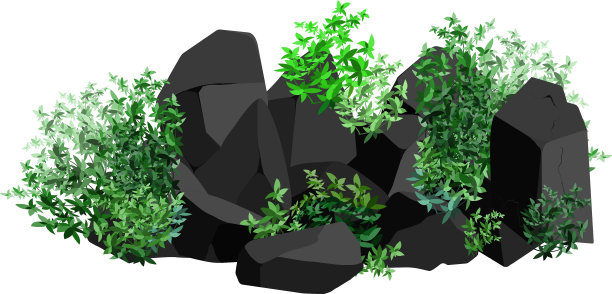 卡姆尼图片下载