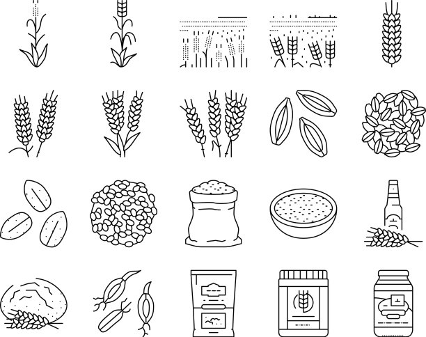 大麦谷物谷物丰收图标集图片下载