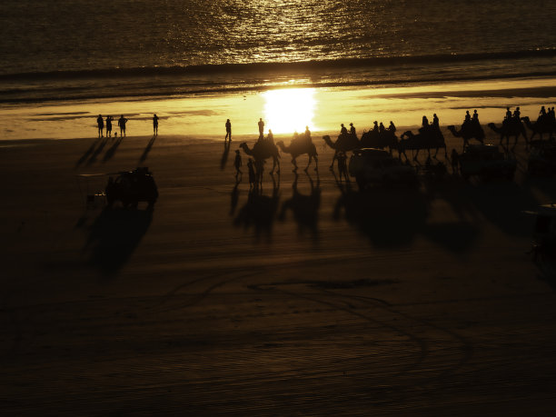 海滩上人们和骆驼的剪影图片下载