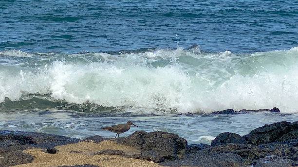 太平洋背景图片下载