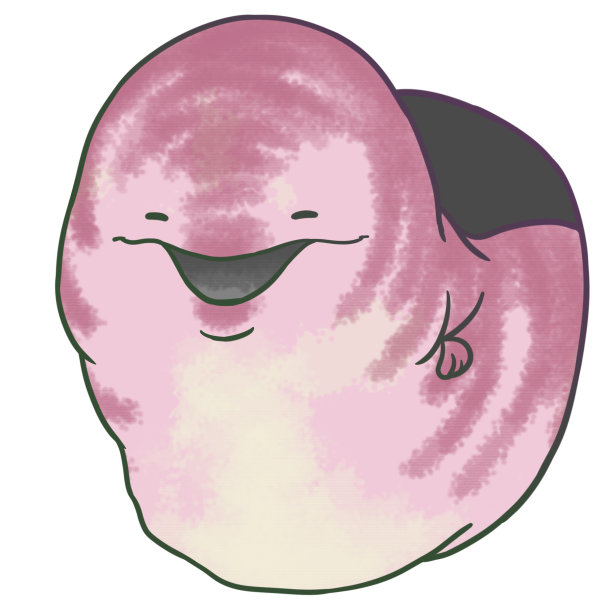 一条海鳗从洞里伸出来图片下载