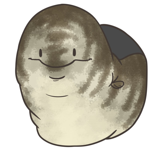 一条海鳗从洞里伸出来图片下载