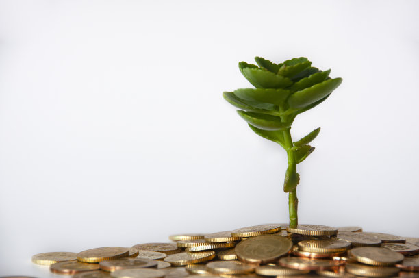 在金币上种植植物，可定制文本空间。复制空间和投资理念。图片下载