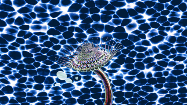 水与生命的进化与循环图片下载