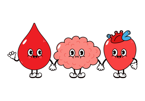 可爱，有趣，快乐的大脑，心脏，血滴性格。矢量手绘卡通卡哇伊人物，插图图标。有趣的卡通脑，心，血滴朋友概念图片下载