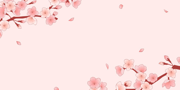 美丽的樱花框架材料图片下载