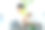 男人在家里用电脑工作图片下载