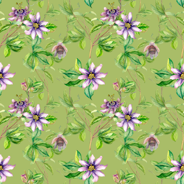 西番莲植物水彩无缝图案隔离在绿色上。图片下载