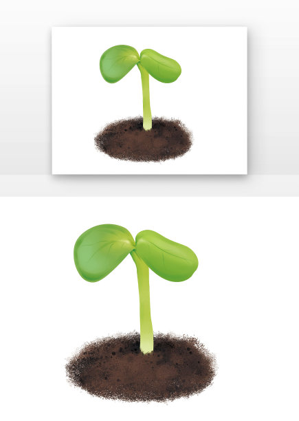 幼苗种子和发芽的苗图片下载