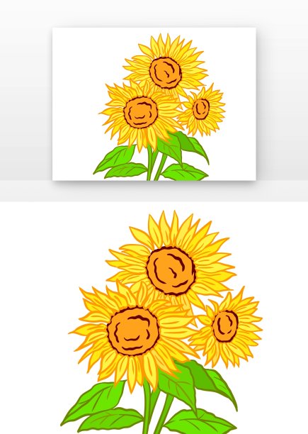 唯美植物向日葵图片下载