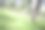在公共公园的本地绿草地图片下载