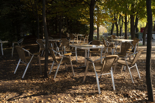 秋天森林里的树叶图片下载