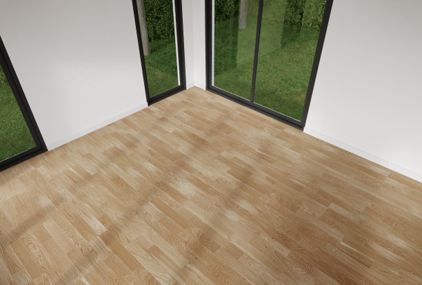 空的白墙房间，门和窗户的俯视图。图片下载