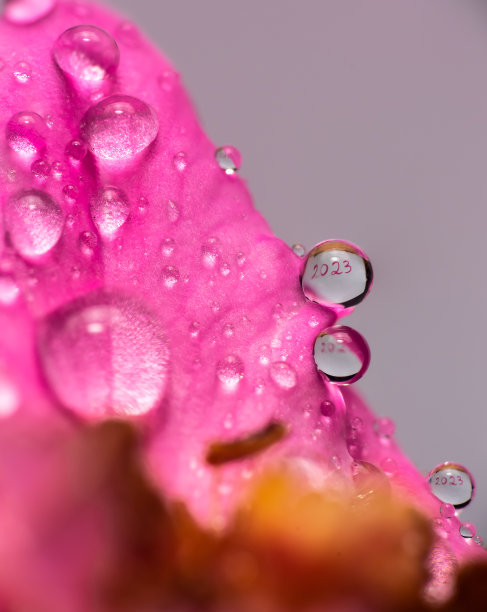 2023年新年快乐图片下载