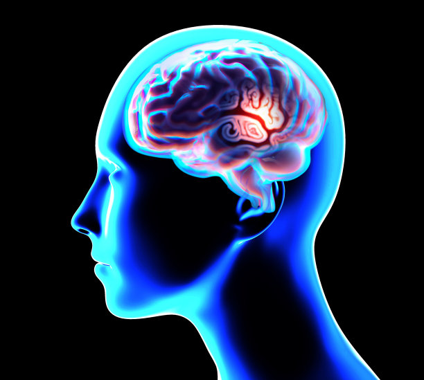 大脑侧面切片，部分大脑。退化性疾病，帕金森，突触，神经元，阿尔茨海默氏症图片下载