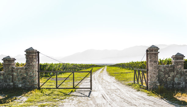 在阿根廷萨尔塔的Calchaquí山谷(Valles Calchaquíes)，进入一个美丽的葡萄园，背景是山脉。这个地区盛产高海拔地区的葡萄酒。图片下载