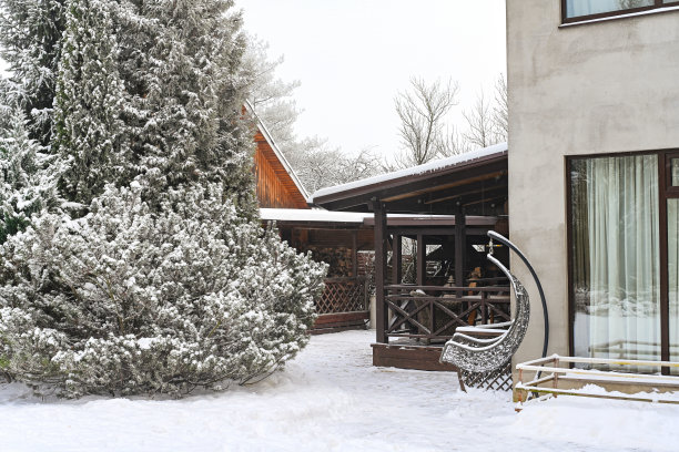 后院花园里的树被雪覆盖着图片下载