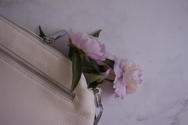 牡丹花包，浅色背景图片下载