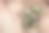 破碎的假牙。图片下载