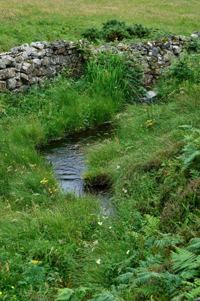 小溪沿着天然石墙流过一片绿色草地图片下载