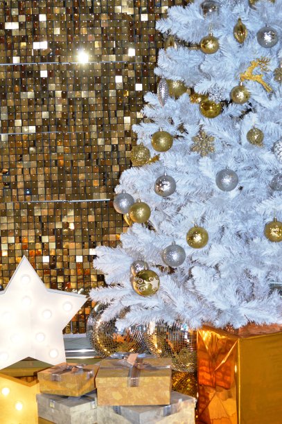 圣诞树图片下载