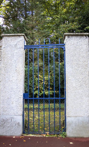 铁门。法国巴黎美丽的Bblue铁门图片下载
