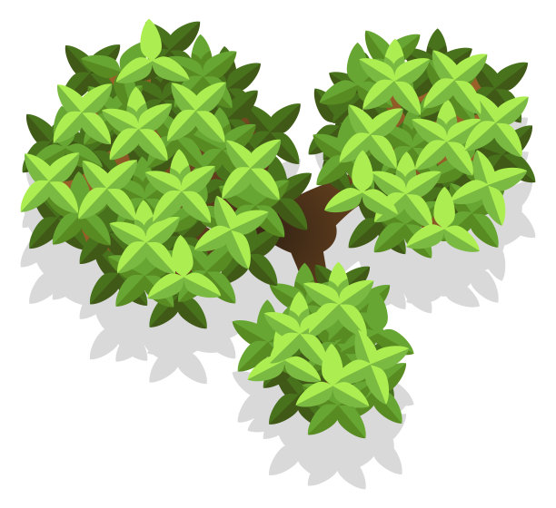 树绿叶。植物叶片顶视图孤立的白色图片下载