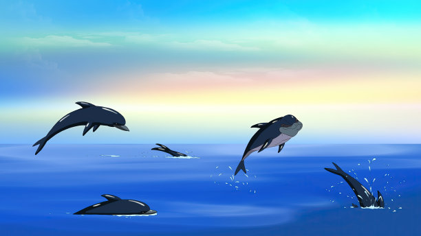 海豚在海洋插图图片下载