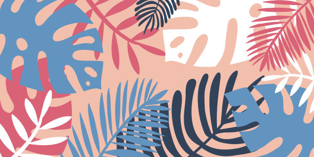 热带背景，特写的怪物棕榈叶海报传单为设计图片下载