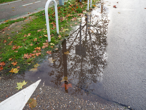 沥青路在雨季被淹了。风险和降雨的概念图片下载