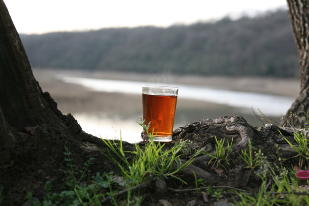 湖边的茶图片下载
