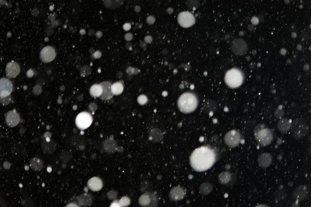 黑色背景上的白色雪花。冬雪背景。图片下载