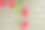 红玫瑰开在带叶子的灌木的绿色枝干上图片下载