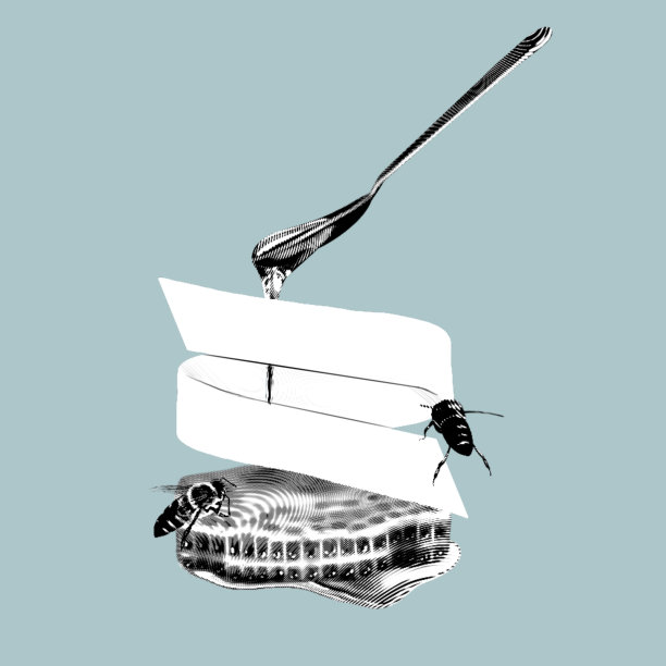 蜂蜜成分。图形雕刻现实插图的蜂蜜，花，蜂巢和蜜蜂图片下载