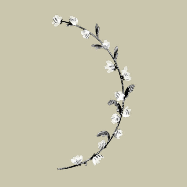 图案雕刻野花。平面雕刻插图图片下载