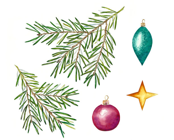 用水彩画着球的圣诞树树枝图片下载