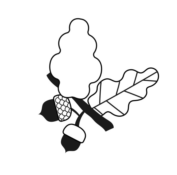 树枝上的坚果图片下载