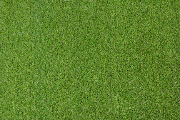 人造草纹理顶视图图片下载