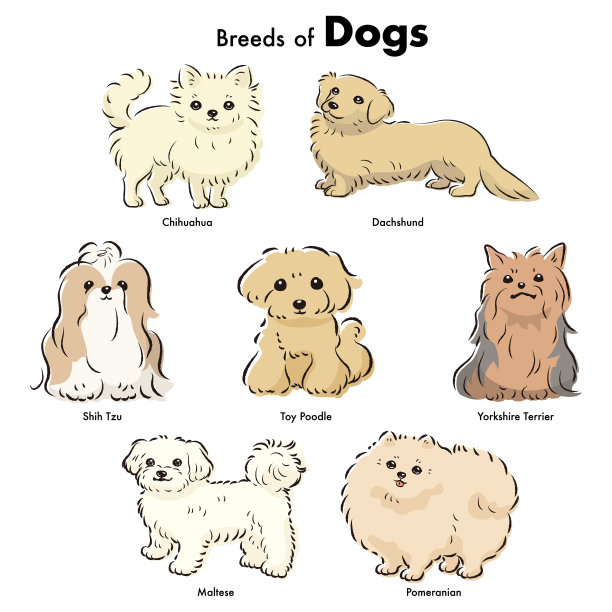 简单可爱的流行狗品种手绘线条矢量插图集图片下载