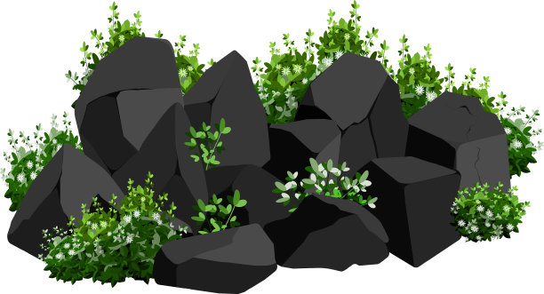 卡姆尼图片下载