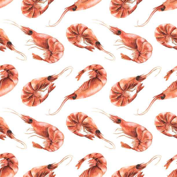 煮虾不去皮。水彩插图。白色背景上的无缝图案来自虾系列。适用于菜单、菜谱、包装、店铺、咖啡厅的设计与设计。图片下载