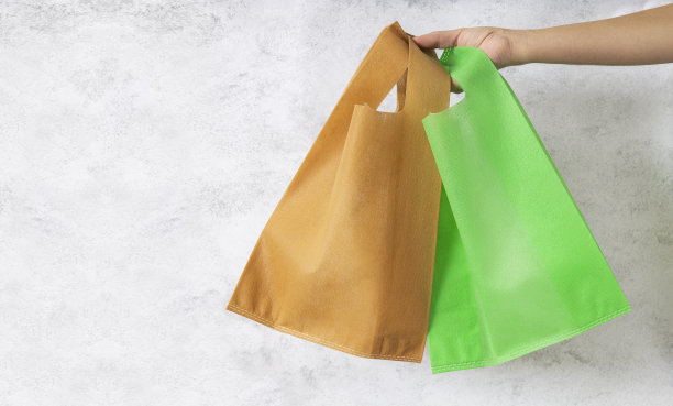 一名女子拿着绿色和米色的环保购物袋，背景是白色图片下载