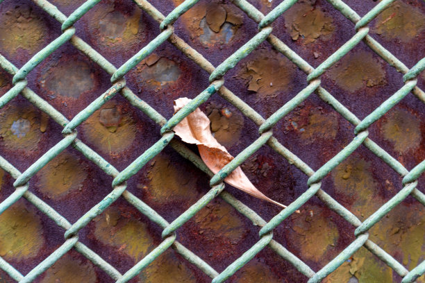 金属栅栏上干燥的秋叶图片下载