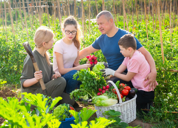 欢乐的一家人在自家菜园里聊天图片下载
