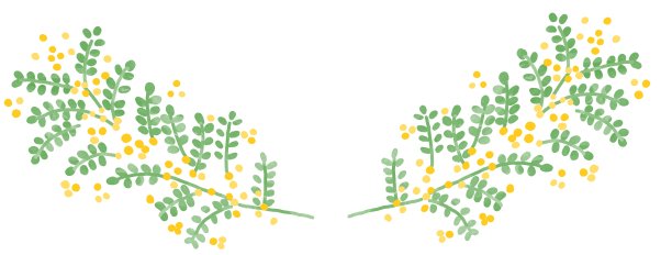 含羞草的自然插图图片下载