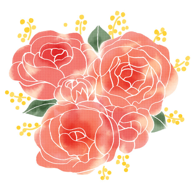 玫瑰和含羞草的插图图片下载