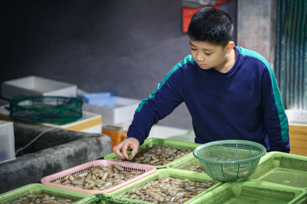 一个小男孩在市场上挑选海鲜图片下载