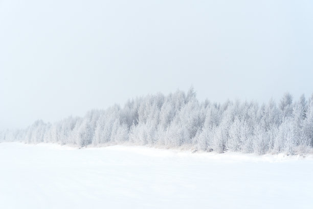 田野和树木被白雪覆盖。美丽的冬季景观图片下载