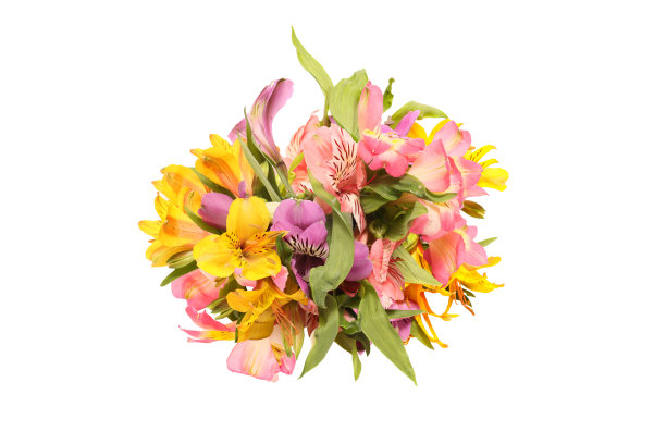 白色背景上孤立的麦香花束。图片下载