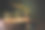 圣诞屏幕保护程序与木残和针叶树的树枝。项目的讲台。现场进行装饰。图片下载